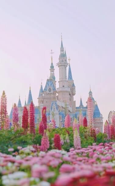 Château de Disneyland